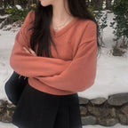 【🌷New Spring Arrivals】Label V-Neck Knit 