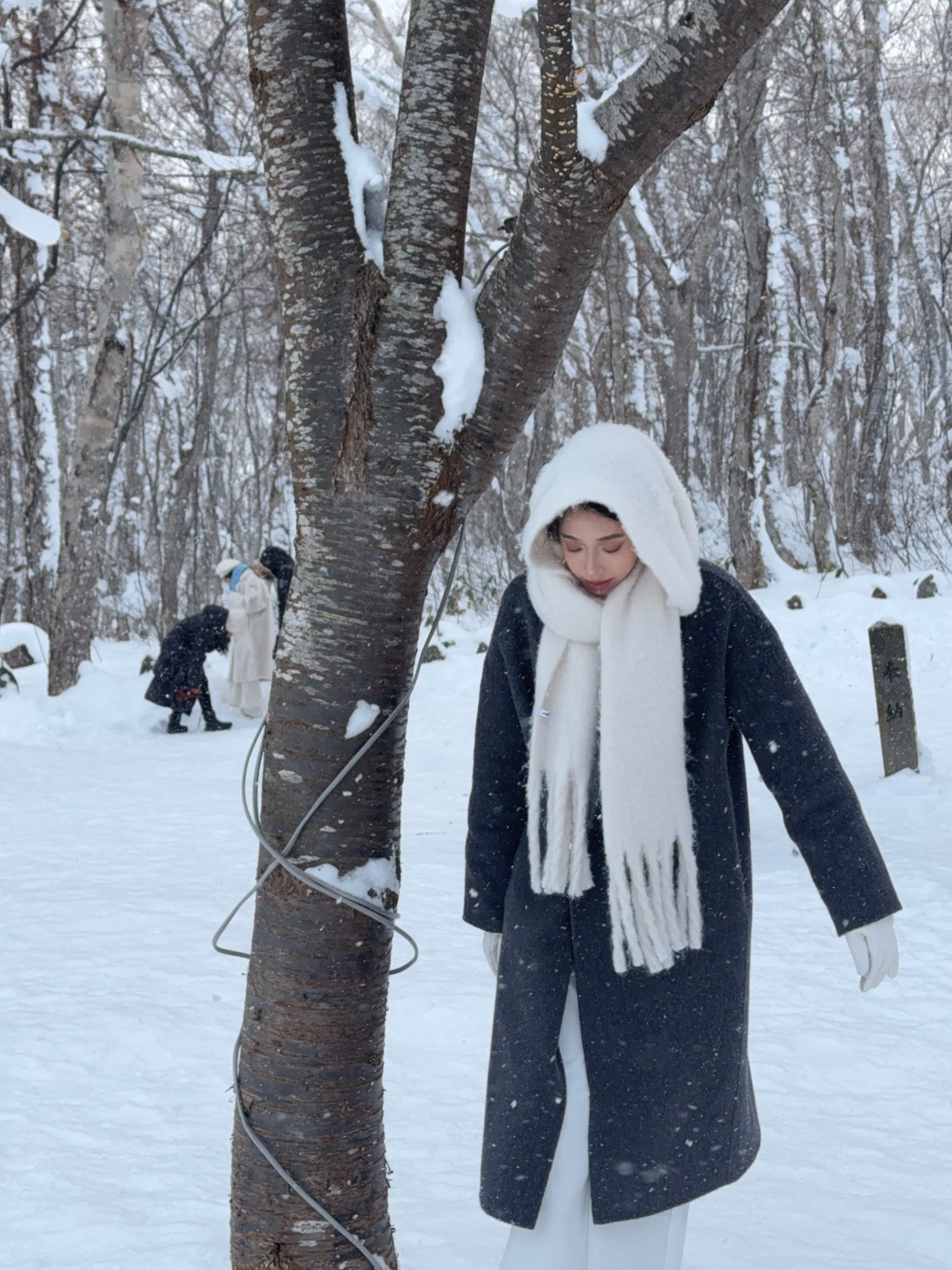 Karina's favorite! Engbrox Cotton Candy Muffler