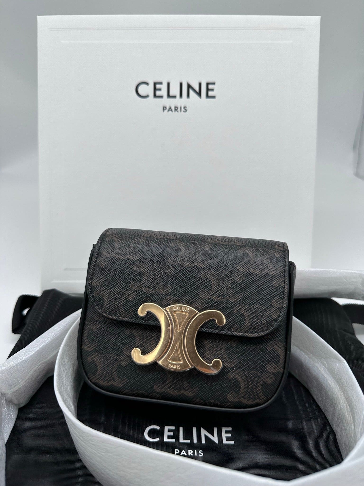 (In Stock) CELINE TRIOMPHE Mini Triomphe Handbag in Canvas and Calfskin