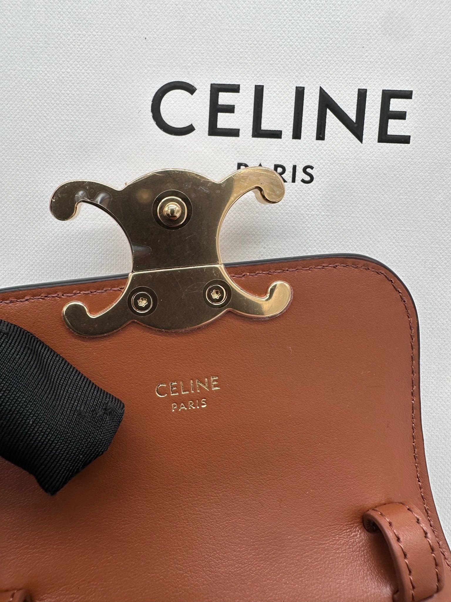 (In Stock) CELINE TRIOMPHE Mini Triomphe Handbag in Canvas and Calfskin