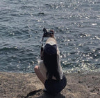 Refreshing vest and cardigan two-piece set